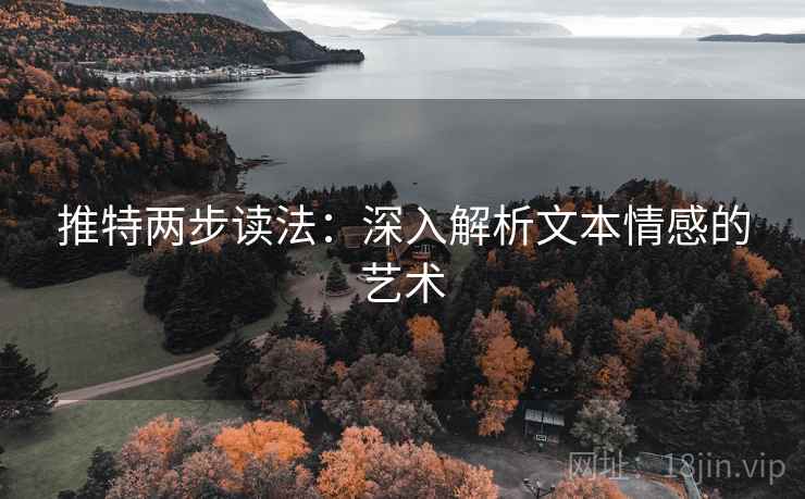 推特两步读法:深入解析文本情感的艺术