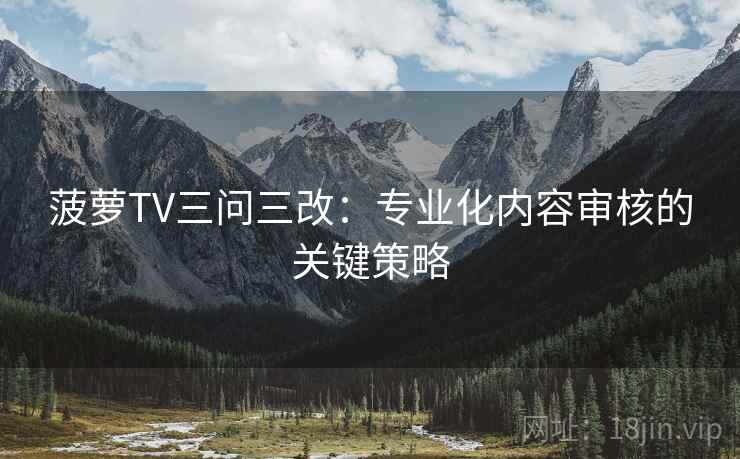 菠萝TV三问三改：专业化内容审核的关键策略