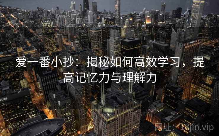 爱一番小抄:揭秘如何高效学习,提高记忆力与理解力